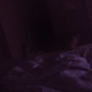 Meet your Posher, Terry